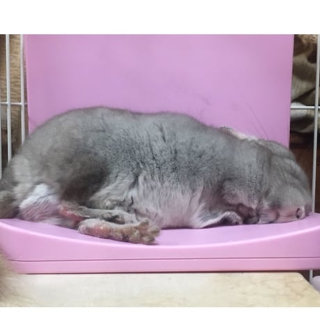 マルカン　ほっとうさ暖　寄り添いヒーター