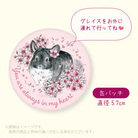 【倉庫一掃セール】《Chinchilla souri*》グレイスのぬくもりを感じる缶バッチ　⚫︎