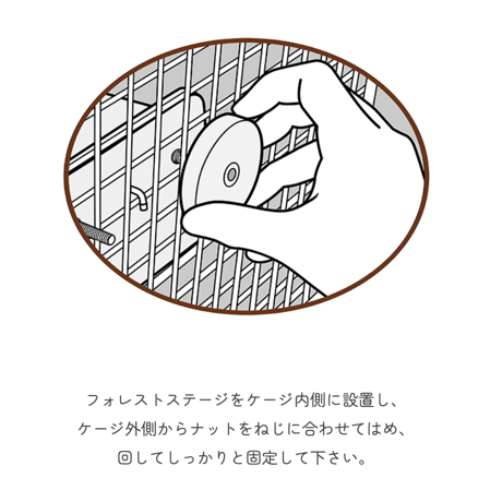 木製ナット＜丸＞
