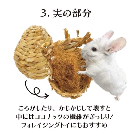 ぐるコロパイン