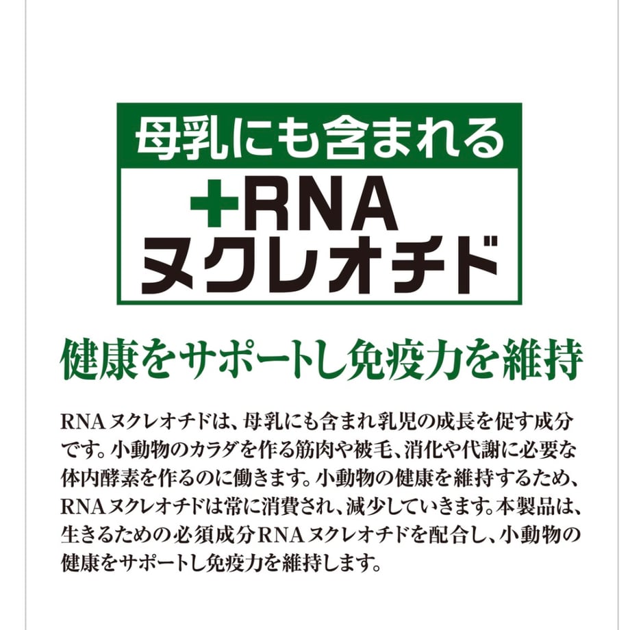 69ca163f9fb1028b37d7b11a