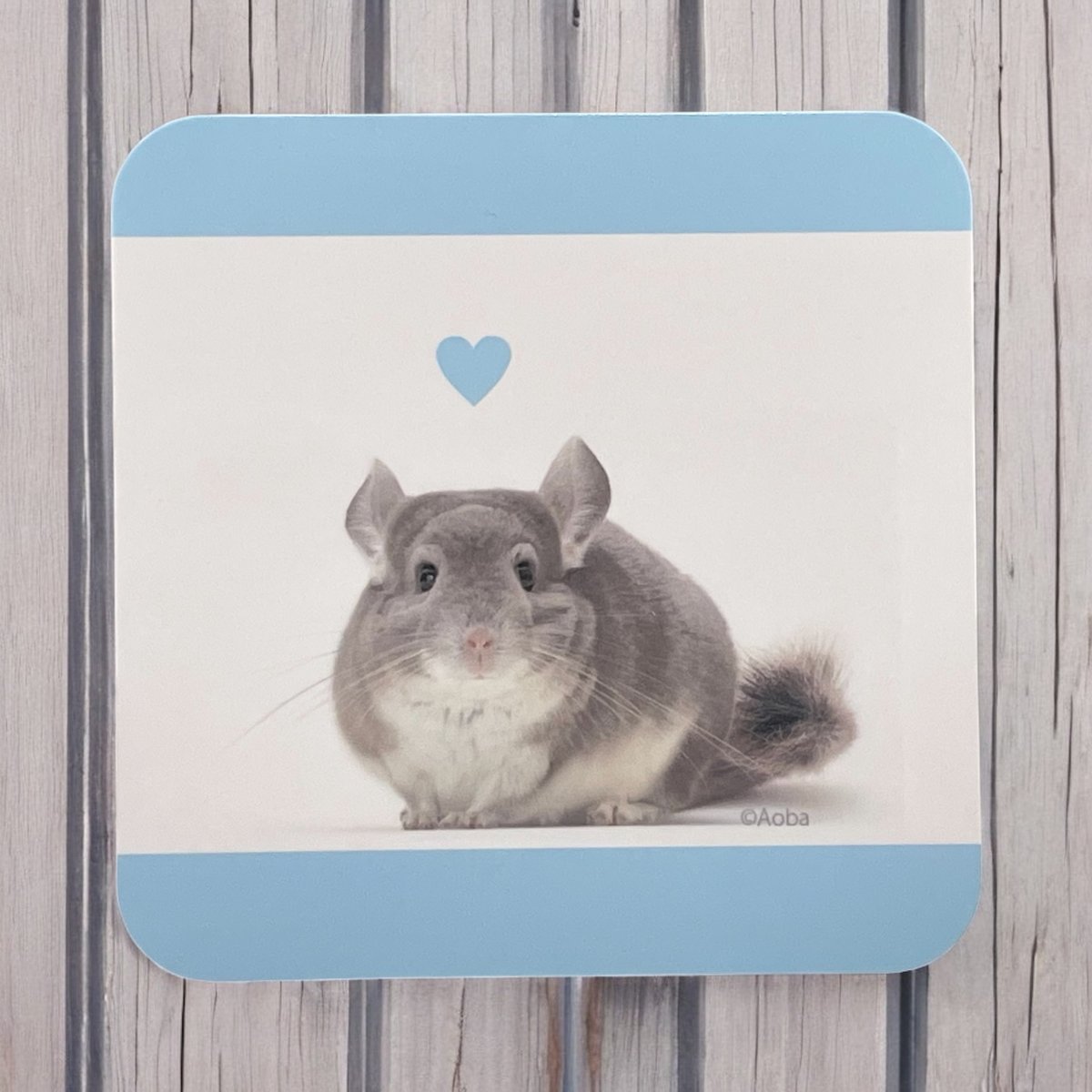 のり○チンチラ○デンマーク産コペンハーゲン社 のり○チンチラ