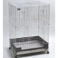 【メーカー長期欠品中／アウトレット/少量入荷】カワイ　コンフォート60チンチラスペシャル