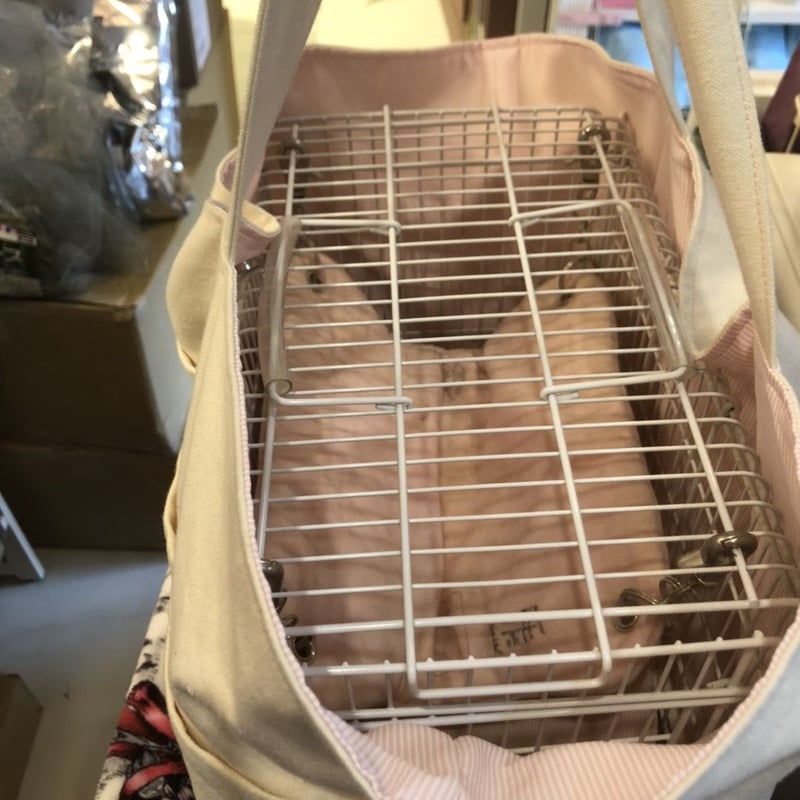 MHキャリー用トートバッグ○ | Royal Chinchilla Online Shop
