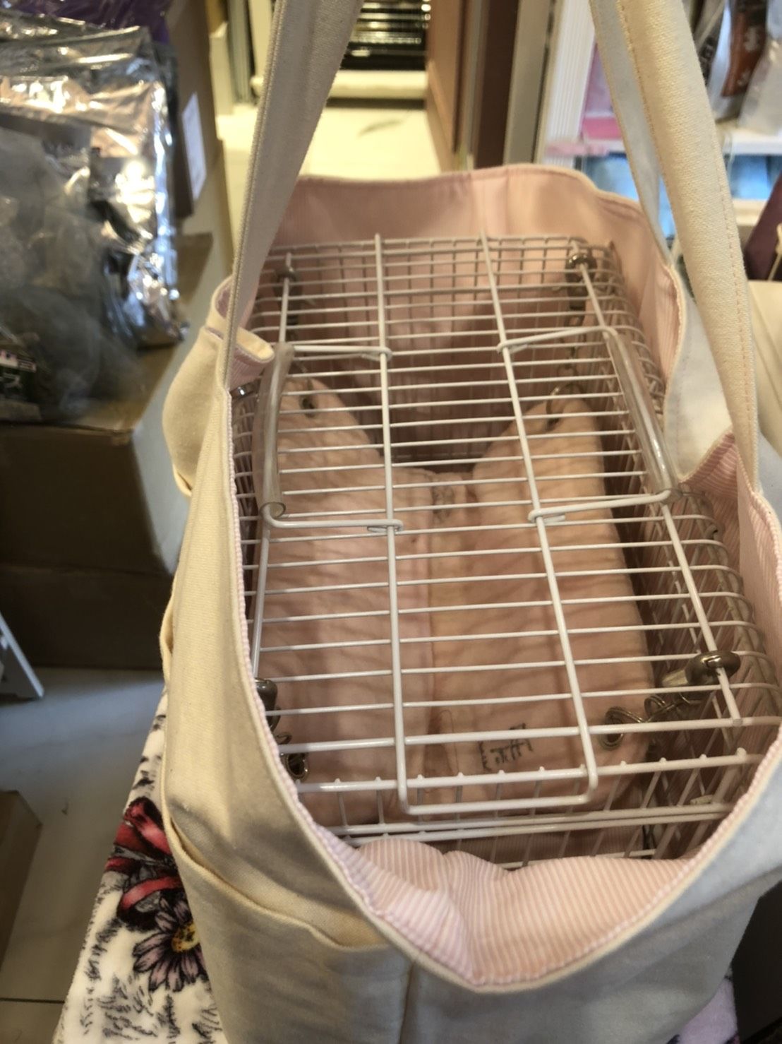 fit=scale-down,w=1200