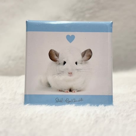 チンチラ | STORES