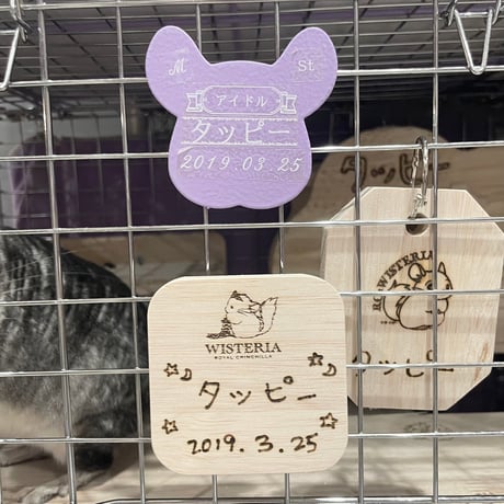 Royal Chinchilla Online Shop Royal Chinchilla Online Shop