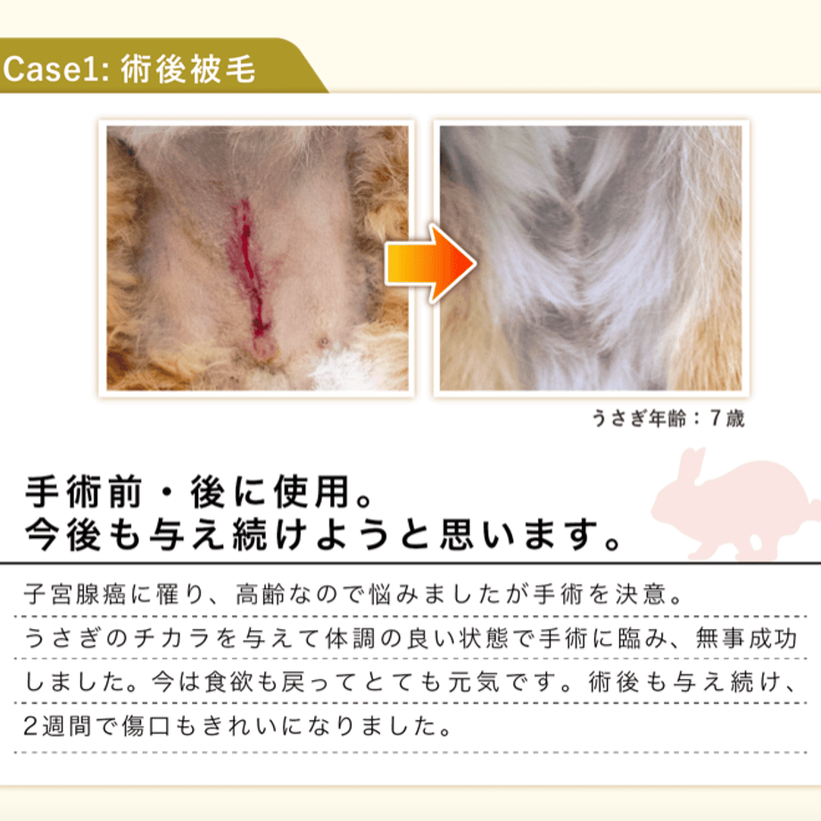 5c5db59ec2fc28190962140e