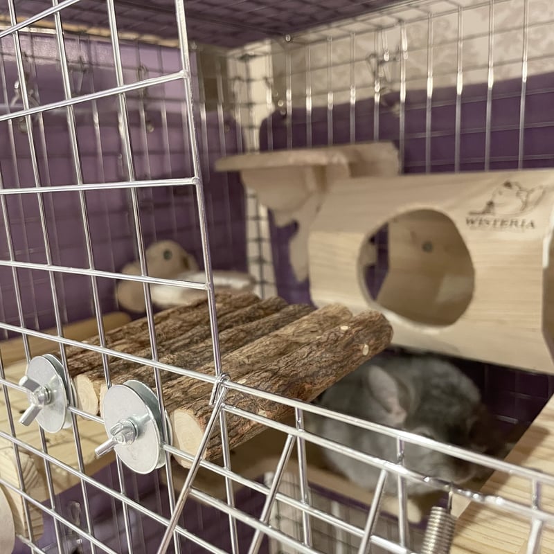 カワイ ニームステップS | Royal Chinchilla Online Shop