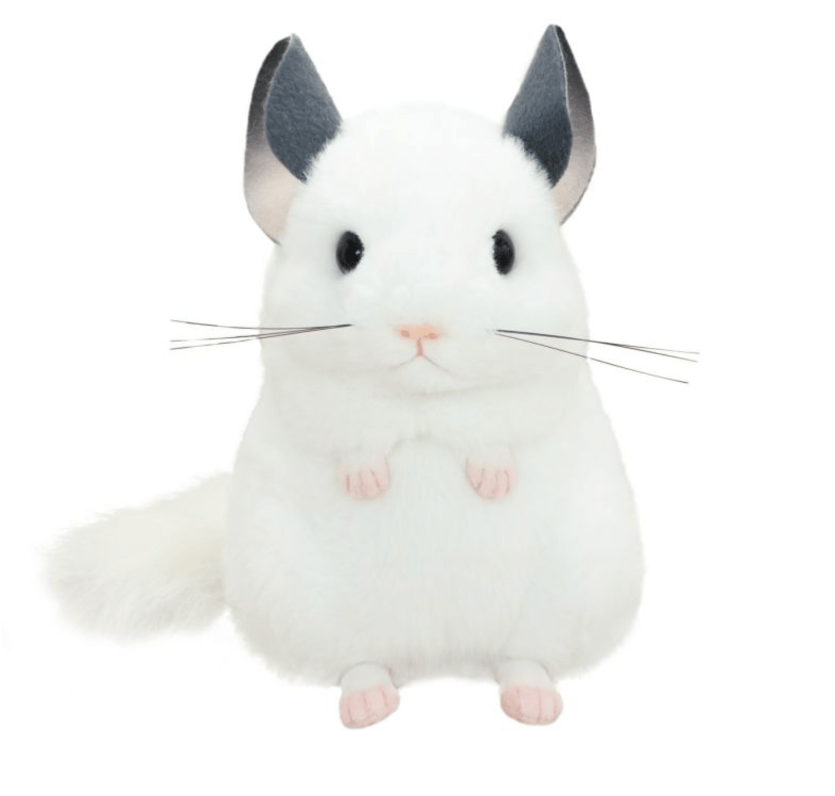 生後１か月♡チンチラゴールデン子猫ちゃん♡アートドール♡ぬいぐるみ♡ 生後1か月♡チンチラゴールデン子猫ちゃん♡アートドール