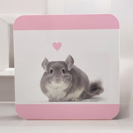 SALE | Royal Chinchilla Online Shop