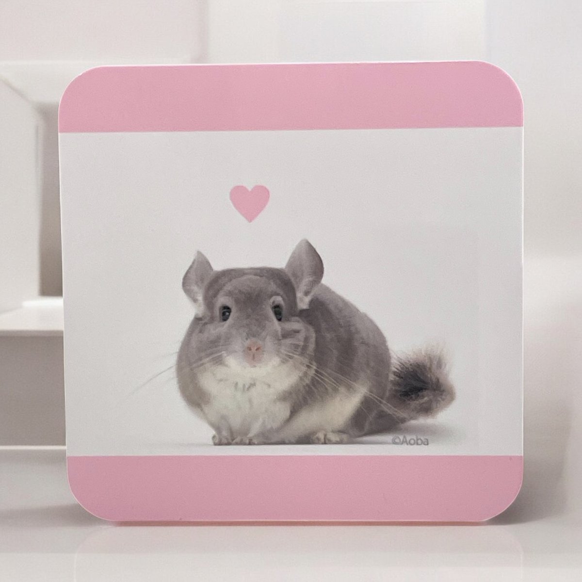 のり○チンチラ○デンマーク産コペンハーゲン社 のり○チンチラ