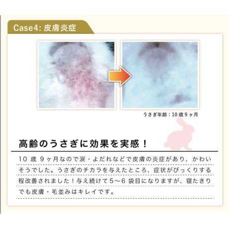 【高濃度機能性食品 】うさぎのチカラ（120錠）