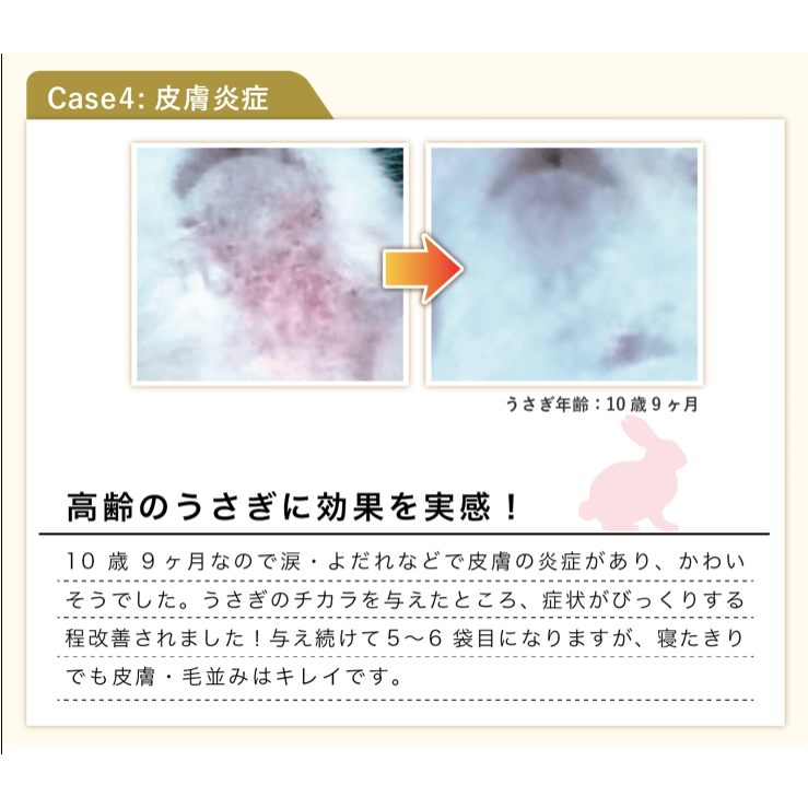 うさぎのチカラ - 有限会社ウーリー｜うさぎの食彩工房