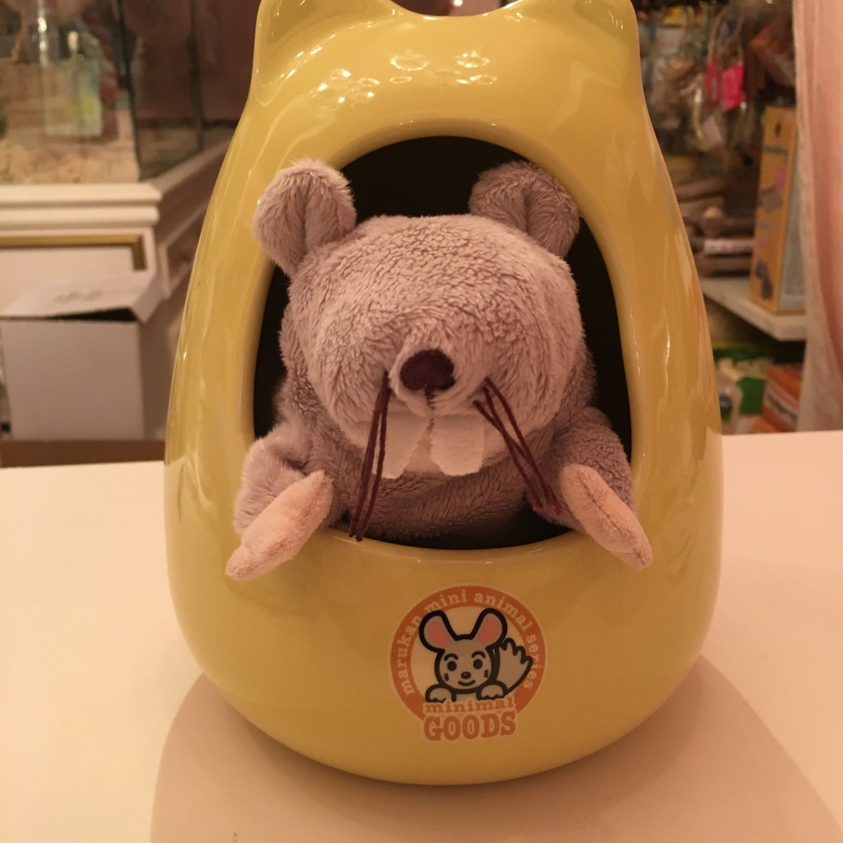 マルカン チンチラのおへや | Royal Chinchilla Online Shop