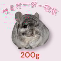 RCオリジナル】チンチラの砂浴び砂「Royal Beauty」（ロイヤル