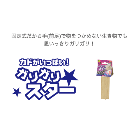 サンコー　ガリガリスター（かじり木）