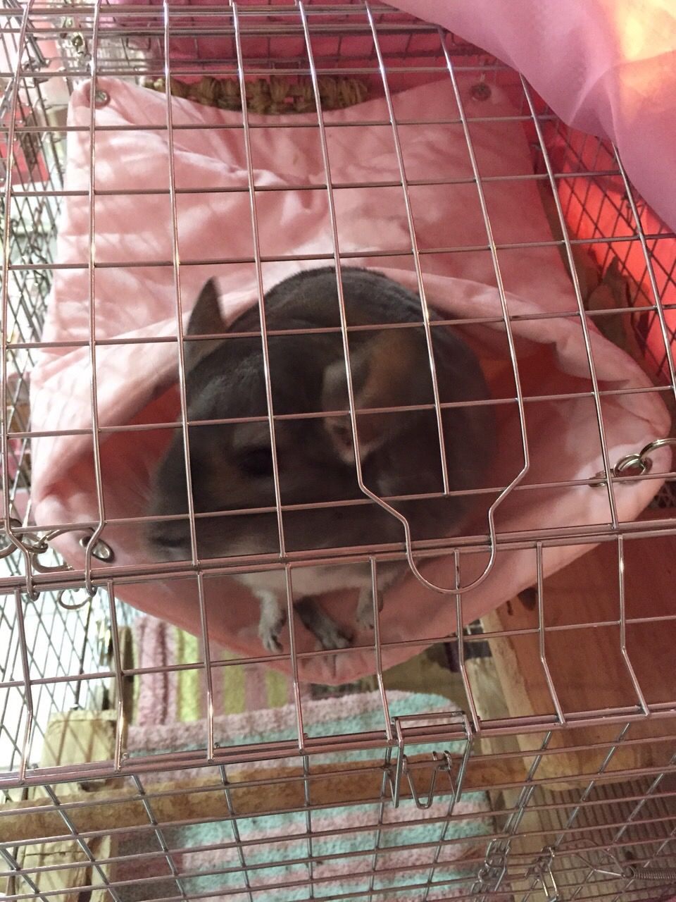 fit=scale-down,w=1200