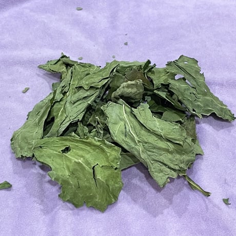 〈ZASSOU マルシェ〉「快腸！Kale(ケール)の葉」50g