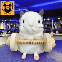 《Chilla Stage/チラフィットネス》ベンチラプレス バーベル