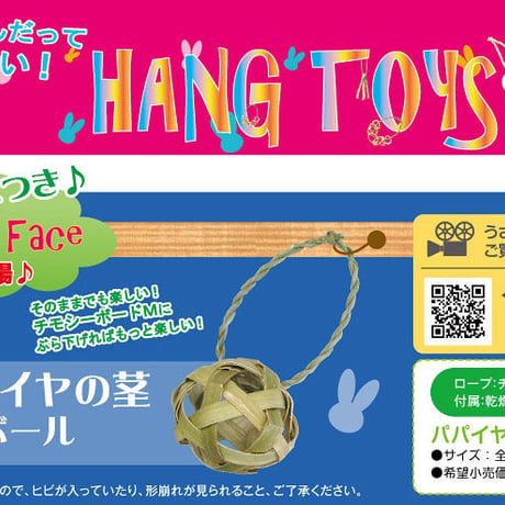 ハングトイ　パパイヤの茎ボール