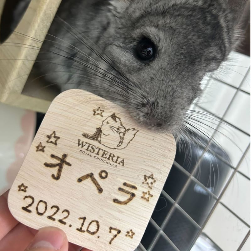 RC WISTERIA✖️Chilla Stage》ネームプレート（お名前手書き焼印無料