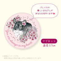 【倉庫一掃セール】《Chinchilla souri*》グレイスのぬくもりを感じるマグネット　⚫︎