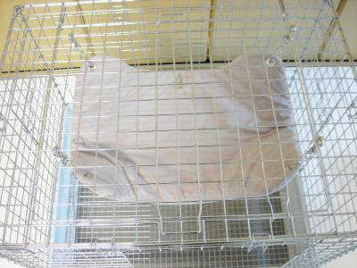 さらふわ/NEW》ハンモック＜L＞ ※金具別売り○ | Royal Chinchilla O