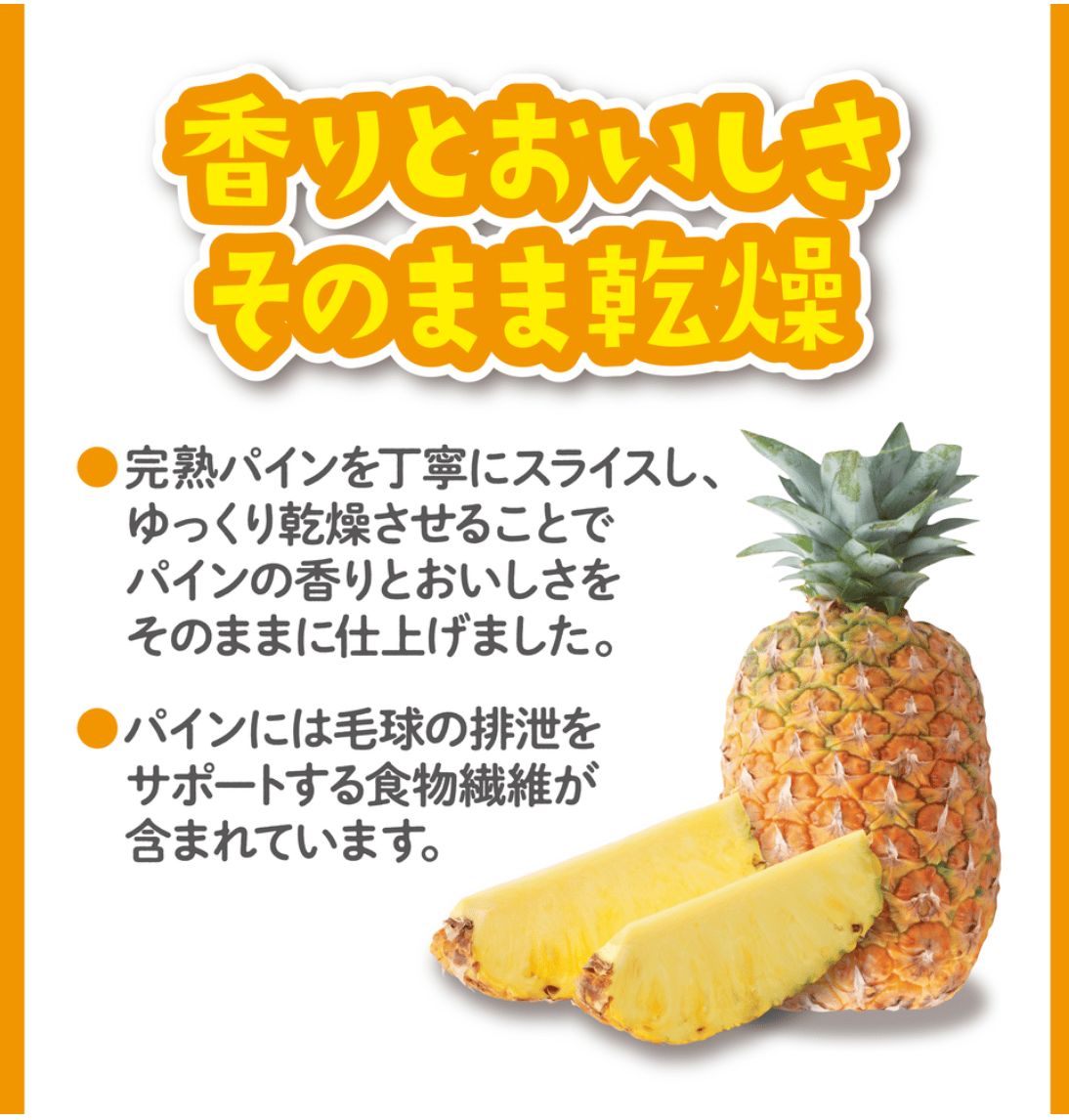 チハラ 送料込み チラマ2026】＜限定取扱＆限定価格＞GEX パリパリパイン 20g | Royal