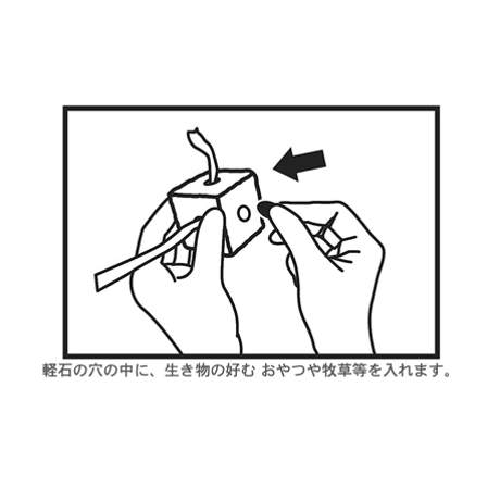 サンコー　軽石キューブ（1個）