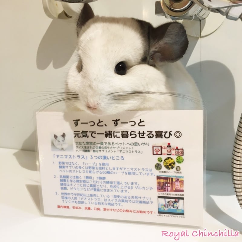 アニマストラス』液体 100ml | Royal Chinchilla Online Shop
