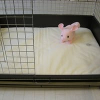 《MH/さらふわ》コンフォート80用ケージマット＜ALL＞