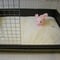 《MH/さらふわ》コンフォート80用ケージマット＜ALL＞