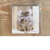 【Toi Project】《おトイさん》 写真ステッカー『おおきに』⚫︎