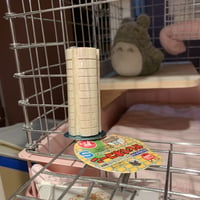 マルカン  かじり木コーン（S）