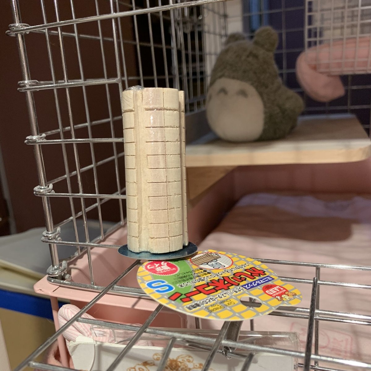 マルカン かじり木コーン（S） | Royal Chinchilla Online Shop