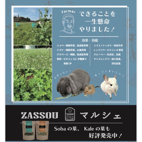 〈ZASSOU マルシェ〉「うさぎの七草」