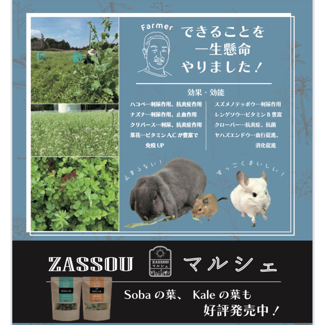 ZASSOU マルシェ〉「うさぎの七草」 | Royal Chinchilla Online