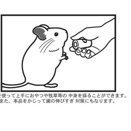 《アウトレット/展示品/汚れなどあり》サンコー　ウッディ（２個入り）
