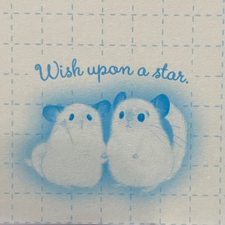《Wish upon a star 2025》リングメモ