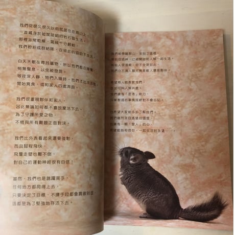 【台湾版】『チンチラ完全飼育』