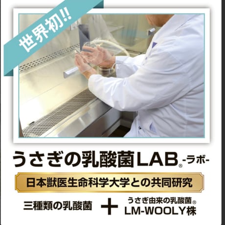 うさぎの乳酸菌 LAB 150g