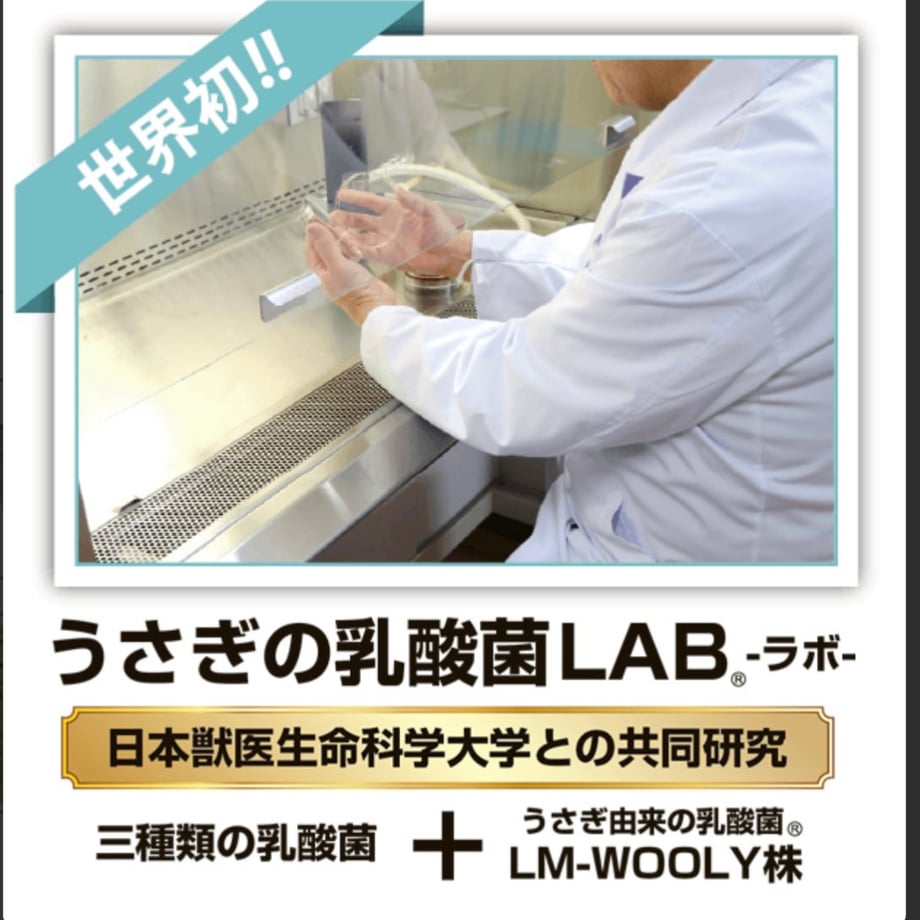 684cc05182a50922f6cf8f91