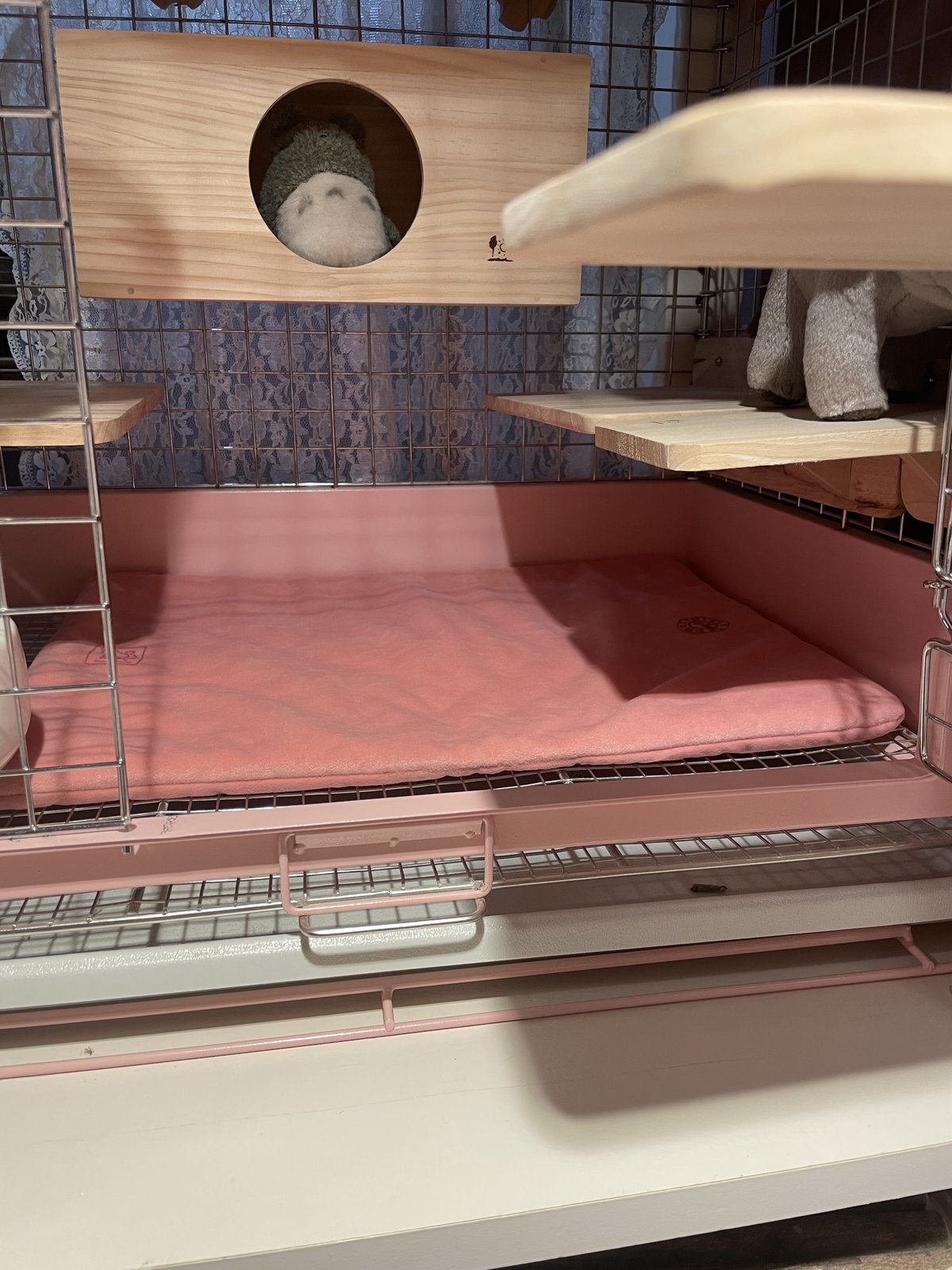 fit=scale-down,w=1200