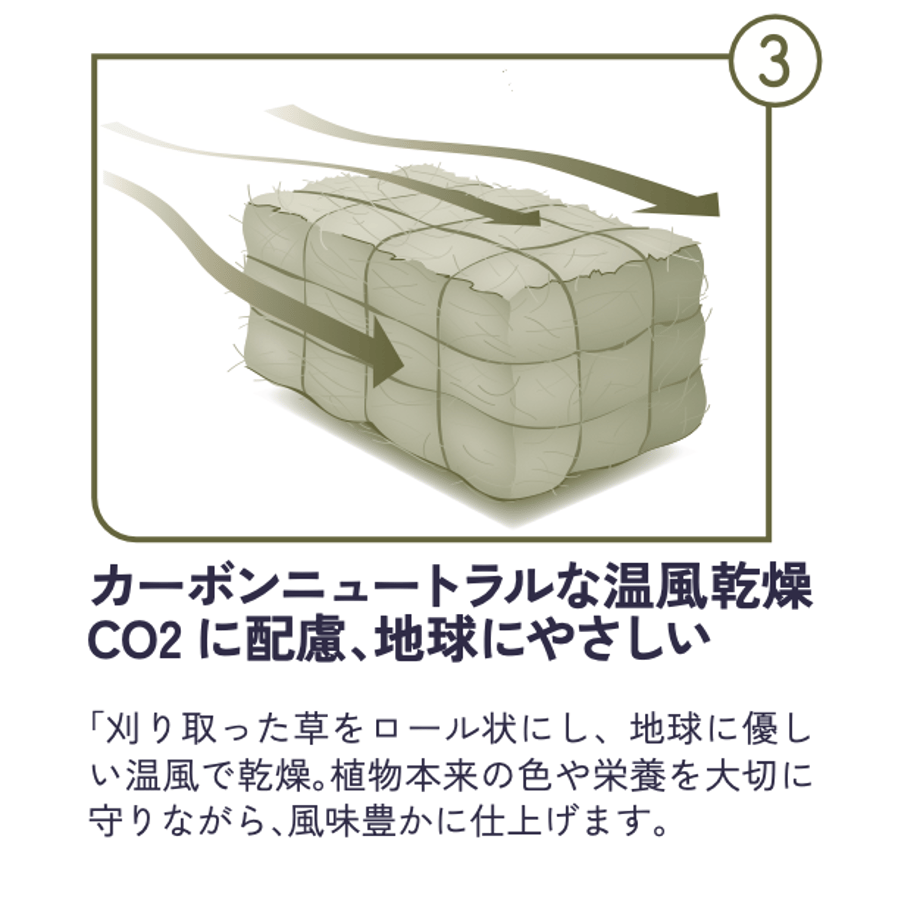 681f7815db24c4ab5eac15a2
