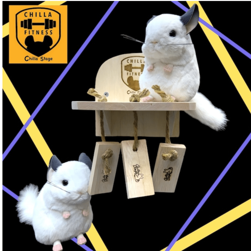 Chilla Stage》ぐるぐるスター⭐︎ | Royal Chinchilla Onli