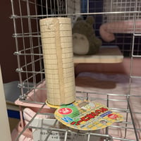 マルカン  かじり木コーン（M）