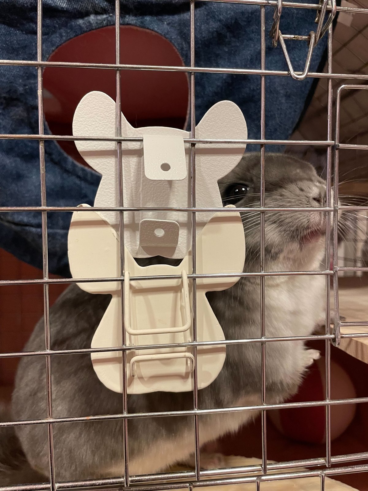 専用☆エンプレス チンチラ EMPRESS CHINCHILLA ケープ 未使用 エンプレス チンチラ EMPRESS CHINCHILLA ケープ 未使用