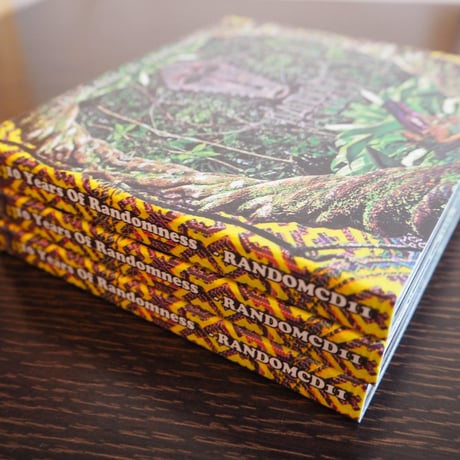 V.A. 10 Years Of Randomness (2CDS)