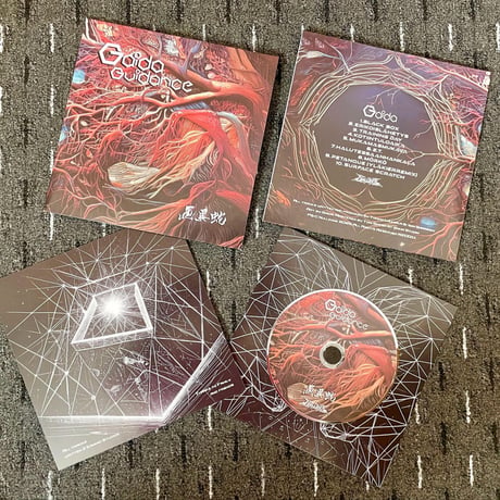 <<<NEW>>>  Gaida - Guidance